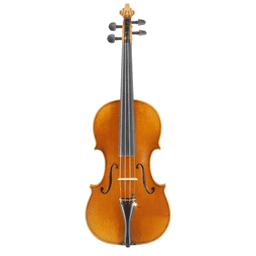 Music Instruments